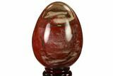 Colorful, Polished Petrified Wood Egg - Triassic #133896-1